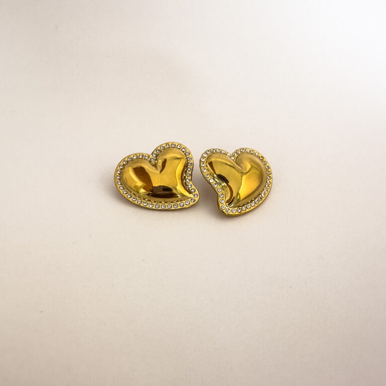 Stainless Steel Earring